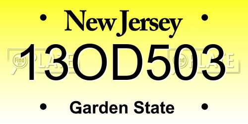 13OD503 New Jersey License Plate