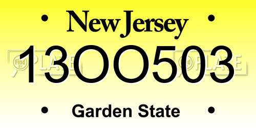 13OO503 New Jersey License Plate