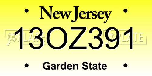13OZ391 New Jersey License Plate