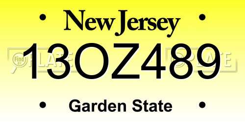 13OZ489 New Jersey License Plate