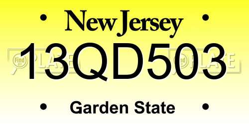 13QD503 New Jersey License Plate