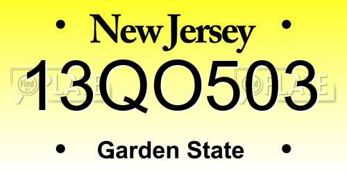 13QO503 New Jersey License Plate