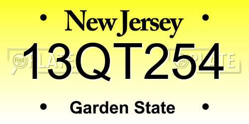 13QT254 New Jersey License Plate