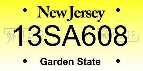 13SA608 New Jersey License Plate