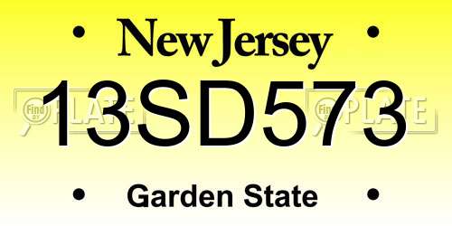13SD573 New Jersey License Plate