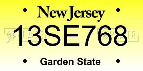 13SE768 New Jersey License Plate
