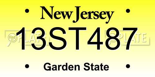 13ST487 New Jersey License Plate