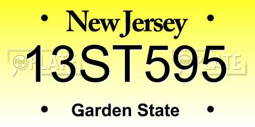 13ST595 New Jersey License Plate