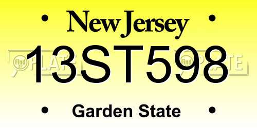 13ST598 New Jersey License Plate