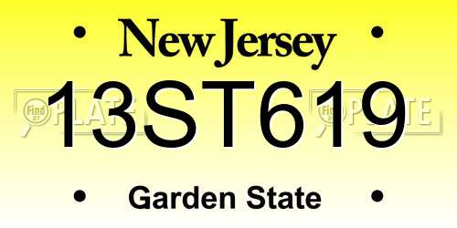 13ST619 New Jersey License Plate