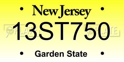 13ST750 New Jersey License Plate