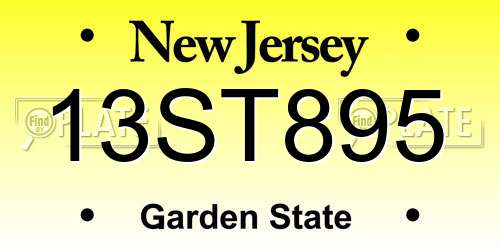 13ST895 New Jersey License Plate