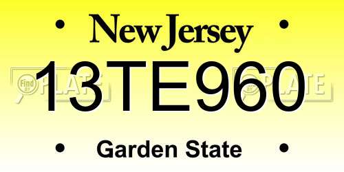 13TE960 New Jersey License Plate