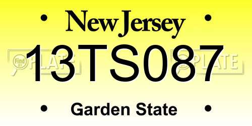 13TS087 New Jersey License Plate