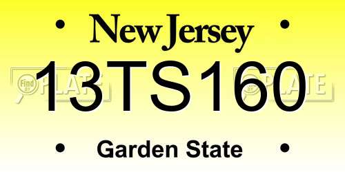 13TS160 New Jersey License Plate