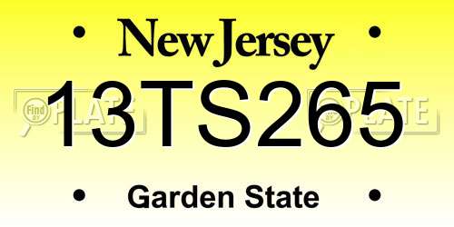 13TS265 New Jersey License Plate