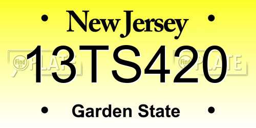 13TS420 New Jersey License Plate