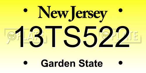 13TS522 New Jersey License Plate