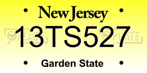 13TS527 New Jersey License Plate