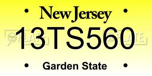 13TS560 New Jersey License Plate