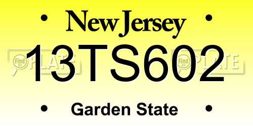 13TS602 New Jersey License Plate
