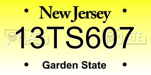 13TS607 New Jersey License Plate