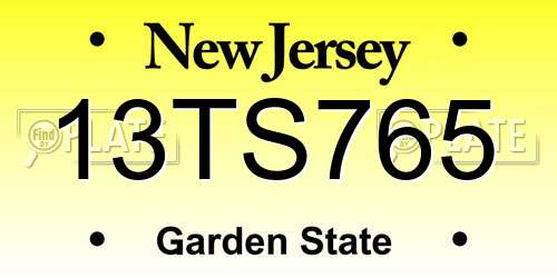 13TS765 New Jersey License Plate