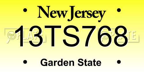13TS768 New Jersey License Plate