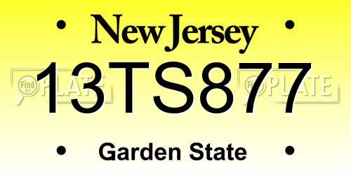 13TS877 New Jersey License Plate