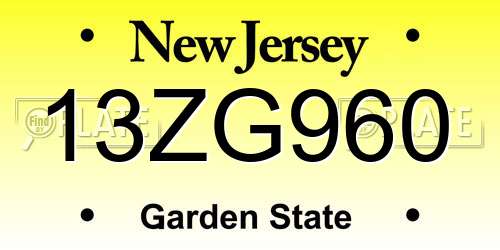 13ZG960 New Jersey License Plate
