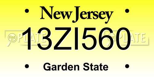 13ZI560 New Jersey License Plate