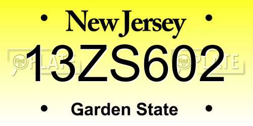 13ZS602 New Jersey License Plate