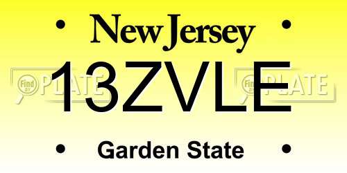 13ZVLE New Jersey License Plate