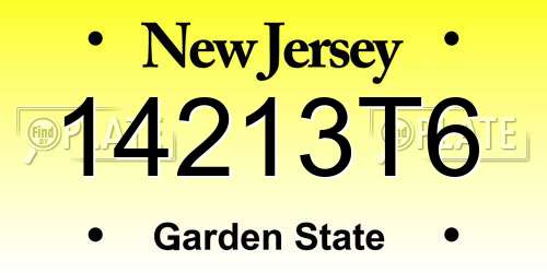 14213T6 New Jersey License Plate