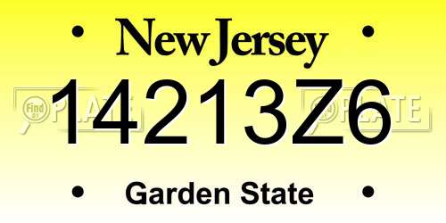 14213Z6 New Jersey License Plate