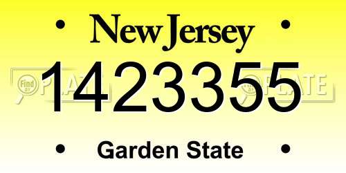 1423355 New Jersey License Plate