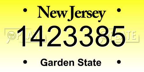 1423385 New Jersey License Plate