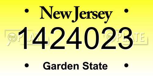 1424023 New Jersey License Plate