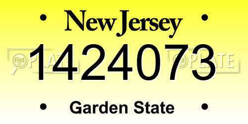 1424073 New Jersey License Plate