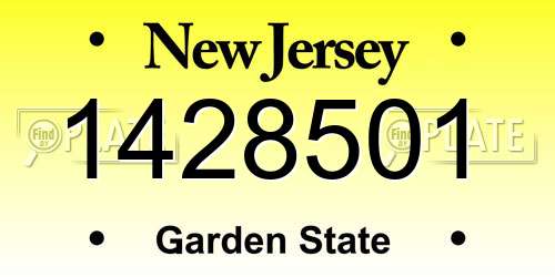 1428501 New Jersey License Plate