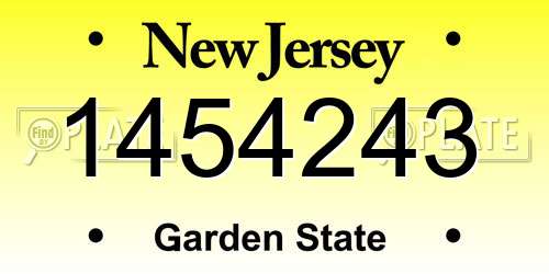 1454243 New Jersey License Plate