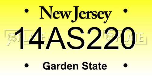 14AS220 New Jersey License Plate