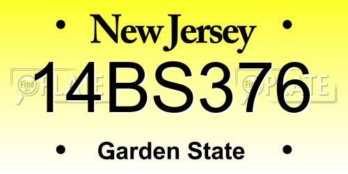 14BS376 New Jersey License Plate