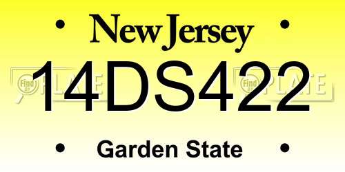 14DS422 New Jersey License Plate