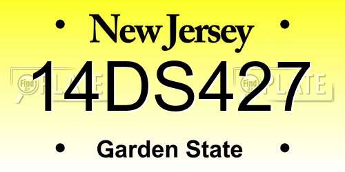 14DS427 New Jersey License Plate