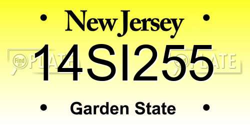 14SI255 New Jersey License Plate