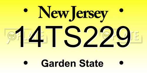 14TS229 New Jersey License Plate