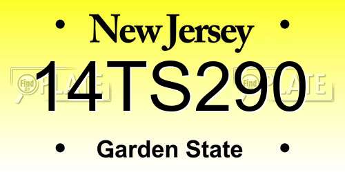 14TS290 New Jersey License Plate