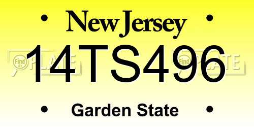 14TS496 New Jersey License Plate
