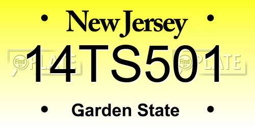 14TS501 New Jersey License Plate